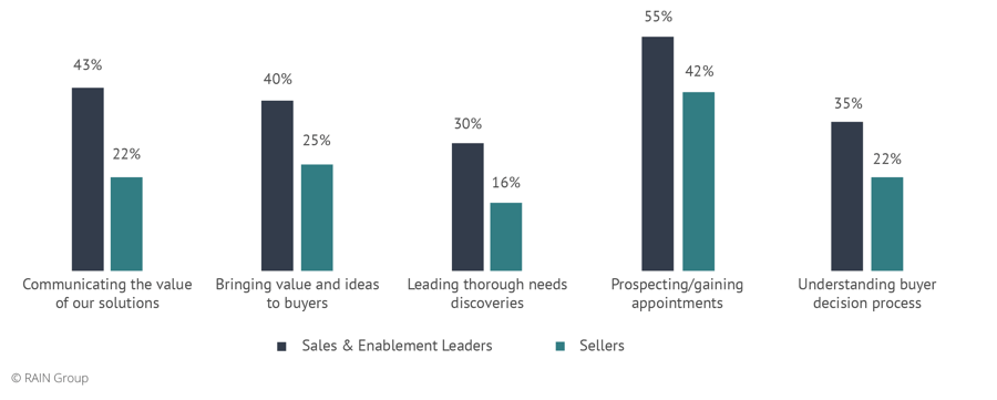 Challenges for Sellers in Sales Organizations